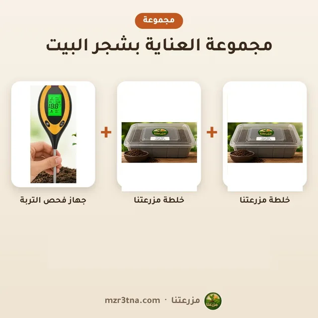 مجموعة العناية بشجر البيت